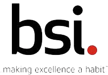 BSI - The British Standards Institution